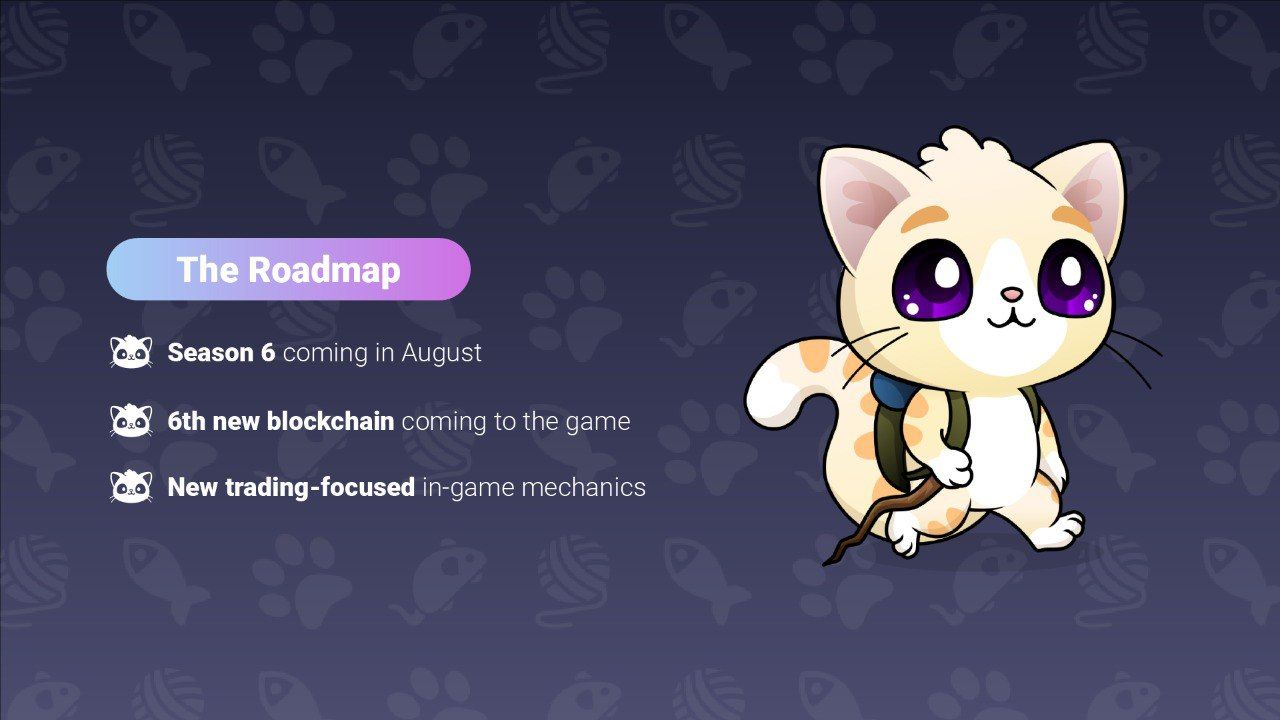 Catching up with the Polkastars: Blockchain Cuties