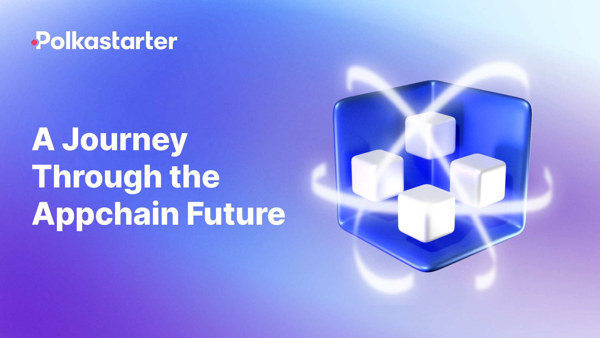 A Journey Through the Appchain Future